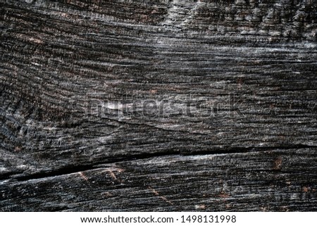 old wooden surface. wood texture. the background.