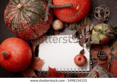 cones, candle, autumn fruits and vegetables on a dark background with notepad, copy space, theme of health and seasonal colds