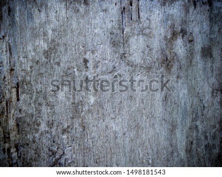 A texture photo of old wood.