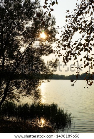 View of the water from the shore at sunset, the sun shines through the branches of trees, a landscape with a pond.