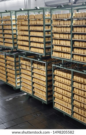 
Green pallets with fresh bread waiting for loading at a bread factory