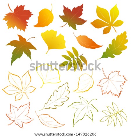 Vector autumn falling leaves - design elements
