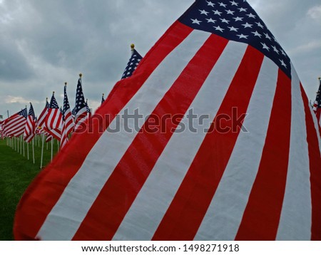 Star and stripes in front of rows of flags flapping in the wind over green grass under overcast skies - 015