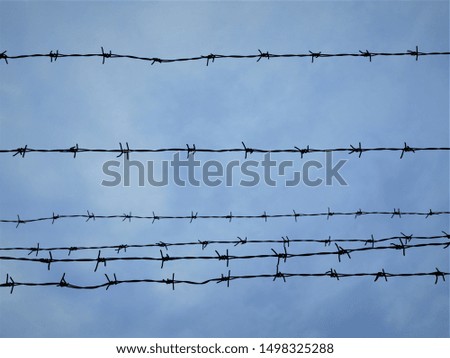 Barbed wire against the sky. Close-up photo
