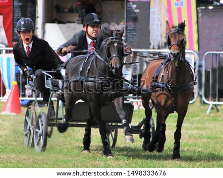 Scurry cart drawn by two horses Royalty-Free Stock Photo #1498333676