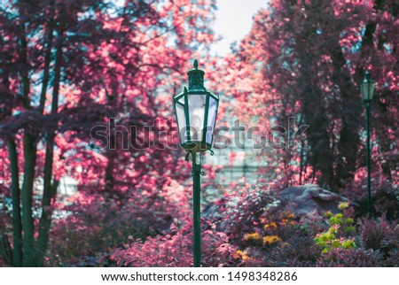 Colorful autumn garden with vintage lantern. Beautiful landscape. Bright fall leaves. Autumn garden