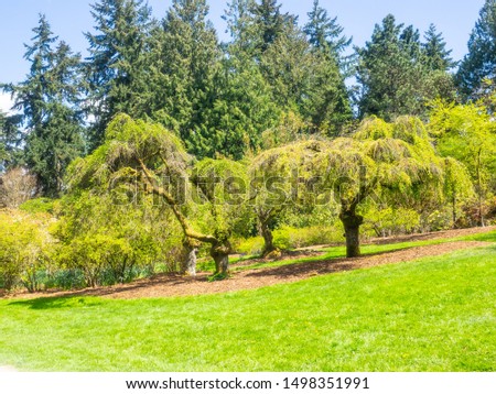 Washington Park is a public park in Seattle, Washington, United States, most of which is taken up by the Washington Park Arboretum