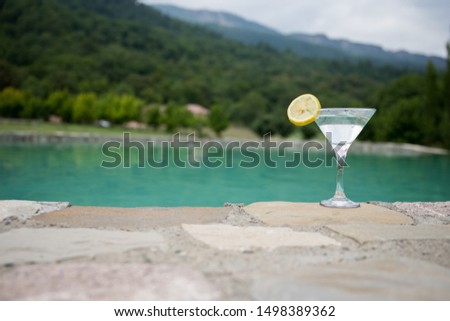 Glass of martini cocktail at swimming pool with forest trees on background. Selective focus. Season and holidays concept.
