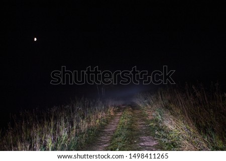 Country road at night in fog