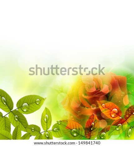 Natural green background with red rose