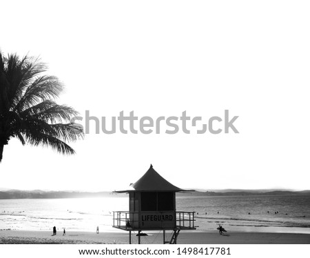 Surf minimalism - A tropical palm tree stands next to a life guard observation tower looking out over the beach at Coolangatta - Gold Coast. Bright reflection from the ocean as the sun sets
