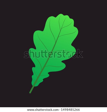 oak leaf vector isolated on black baground