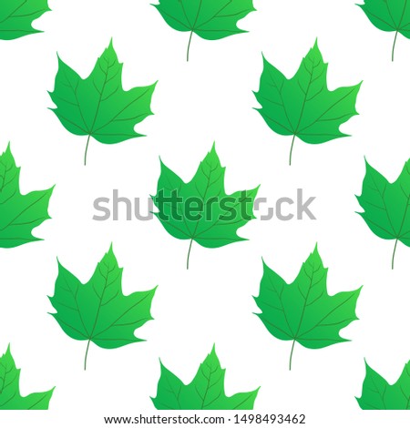 mapple leaf seamless pattern vector