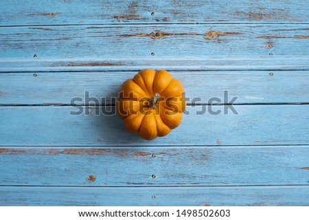 Still-life, flat lay, top view with copy space template of small-sized, ripe orange fancy pumpkin with shadow in the middle of blurry light blue weathered wooden plate background