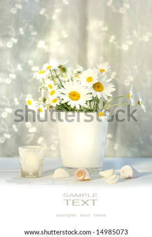 Little white daisies and seashells with white lace curtains