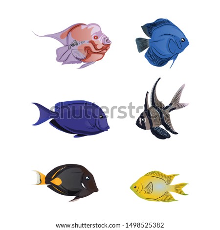 Collection Of Beautiful Colorful Fishes. Vector Illustration Isolated On White Background