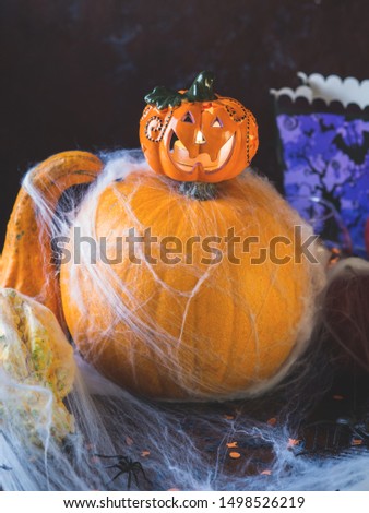 Halloween squash and candle. Spider net. Holiday spooky background still life