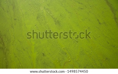 dirty green water background top view natural disaster picture result of human activity 