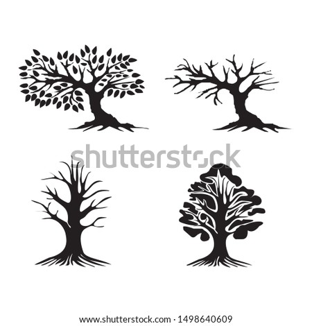 Plants in the form of beautiful trees Royalty-Free Stock Photo #1498640609