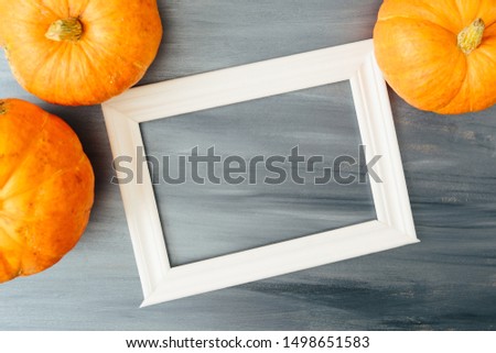 Thanksgiving season still life with orange pumpkins and with white frame for picture over rustic gray wood background Thanksgiving and Halloween concept. Copy space for text and design