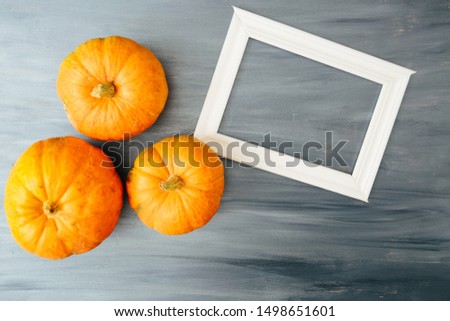 Autumn orange pumpkins with white frame for picture on gray wooden board table. Top view with copy space Thanksgiving and Halloween concept. View from above. Top view. Copy space for text and design