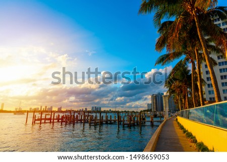 Palms in Miami Beach bayfront at sunset. Southern Florida, USA