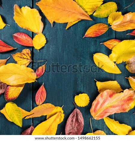 Autumn background with vibrant fall leaves, a design template for a flyer, invitation, or gift card with copy space