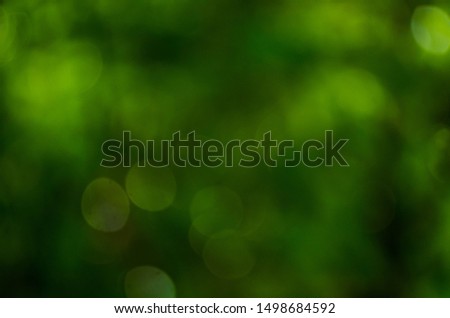 Natural abstact, bokeh green leaf background.