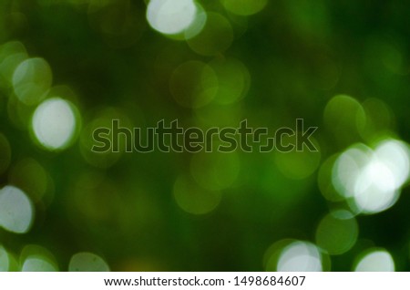 Natural abstact, bokeh green leaf background.