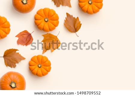Autumn fall and harvest contemporary background composition with pumpkins and leaves.