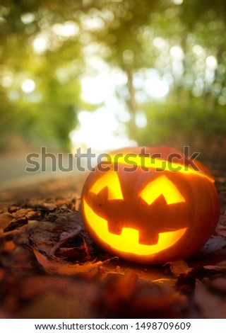 A halloween carved pumpkin Jack O Lantern outside surrounded by autumn fall leaves.
