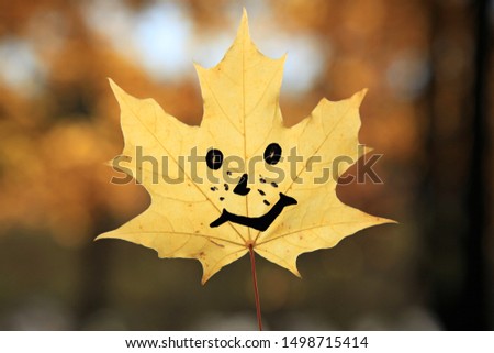 Golden autumn time. Yellow maple leaf with gay emoticon (painted smile) against the sun light. Fall forest landscape and background