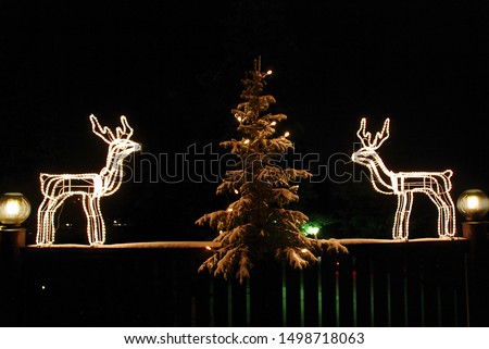Christmas lights on a dark winter night in Finland Lapland/ Levi