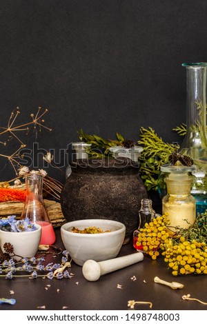 Halloween concept. Alchemy laboratory of the witch. Flasks, retorts, cauldron, mortars and pestle, powders, dried herbs, berries. Black stone background