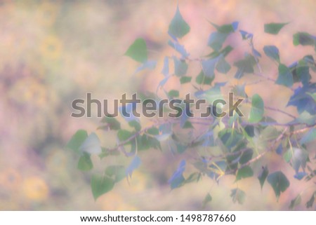 
Defocused image of foliage of trees on a sunny day in pastel tone