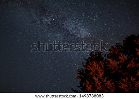 Nighty Sky Milky Way Trees