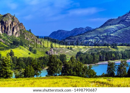 View of Katun river and mountain valley in summer. Chemalsky district, Altai Republic, southern Siberia, Russia Royalty-Free Stock Photo #1498790687