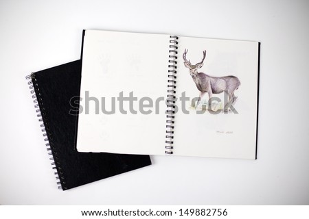 Sketchbook with drawing of a mule deer