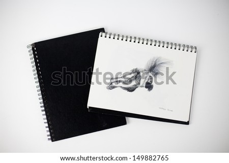 Sketchbook with a drawing of a spotted skunk