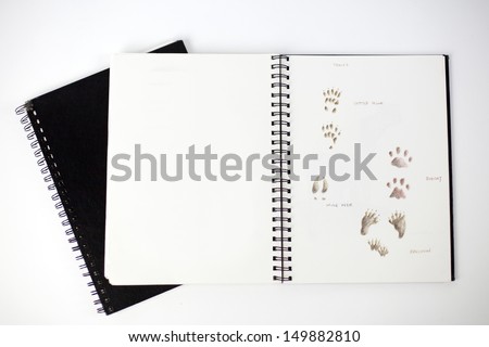 Sketchbook with drawings of animal tracks 