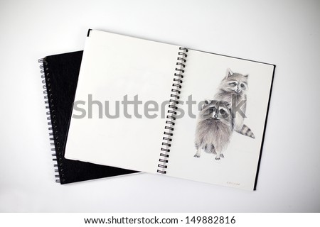 Sketchbook with a drawing of two raccoons