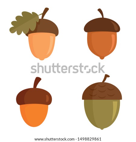 Acorn icons set. Flat set of acorn vector icons for web design Royalty-Free Stock Photo #1498829861