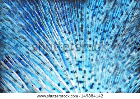Seamless Blue Animal skin pattern 