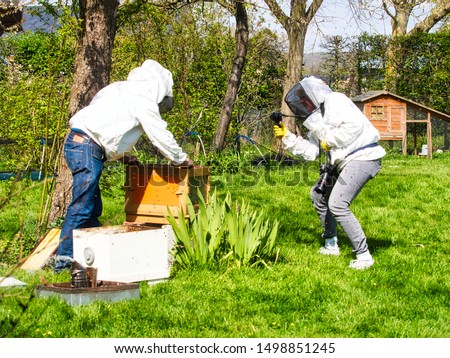 Photographer taking pictures of apiarist in garden, with bees flying around the beekeeper. Authentic scene of apiculture life