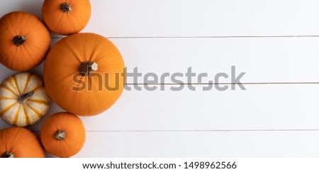 Many orange pumpkins on white wooden background with copy space, autumn harvest, Halloween or Thanksgiving concept