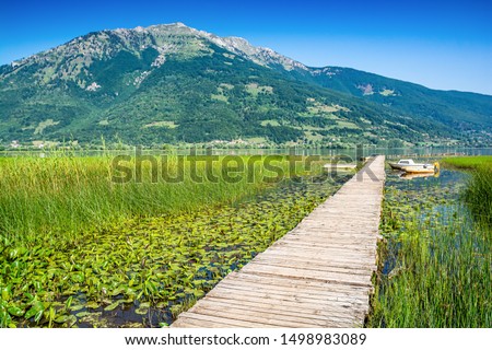Old wooden pier with boat on Plavsko lake between water lilies, Montenegro, Europe