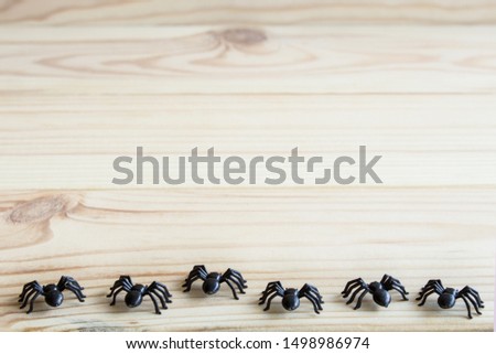 Halloween background. Spiders on a wooden background. Copy space for text.
