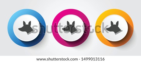Dog icon on three colorful buttons.