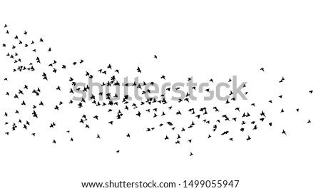 A flock of flying birds. A lot of soaring birds. Vector illustration Royalty-Free Stock Photo #1499055947