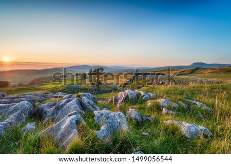 Sunset with clear blue skies over a limestone pavement at the Winskill Stones near Settle in the Yorkshire Dales National Park Royalty-Free Stock Photo #1499056544